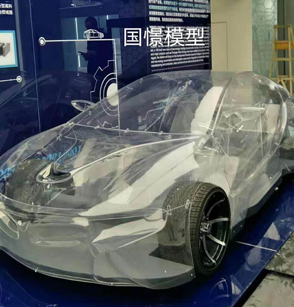 眉县透明车模型
